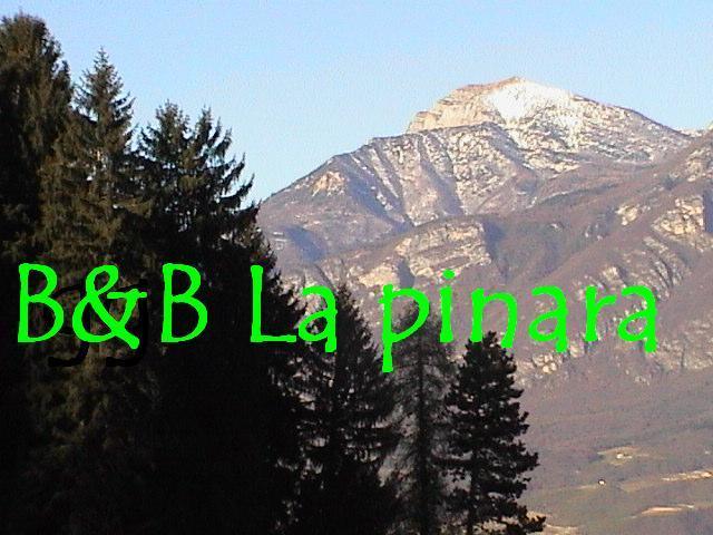 B&B La Pinara Trento Rum bild