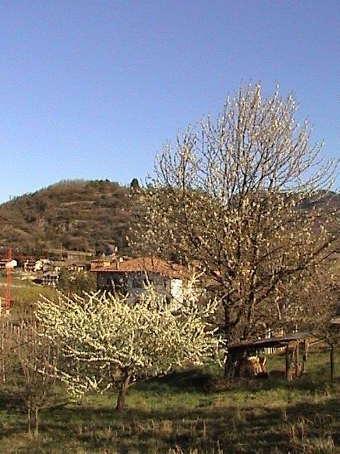 B&B La Pinara Trento Exteriör bild