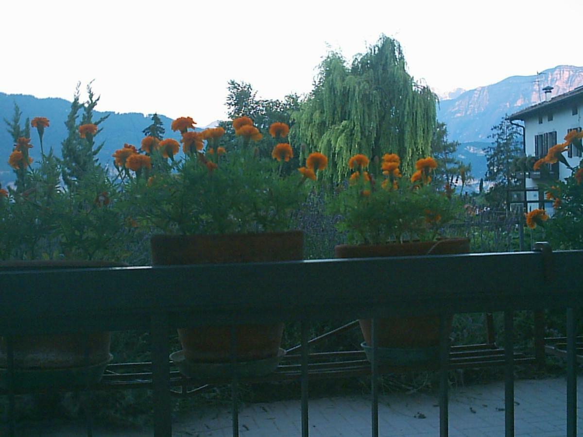 B&B La Pinara Trento Exteriör bild